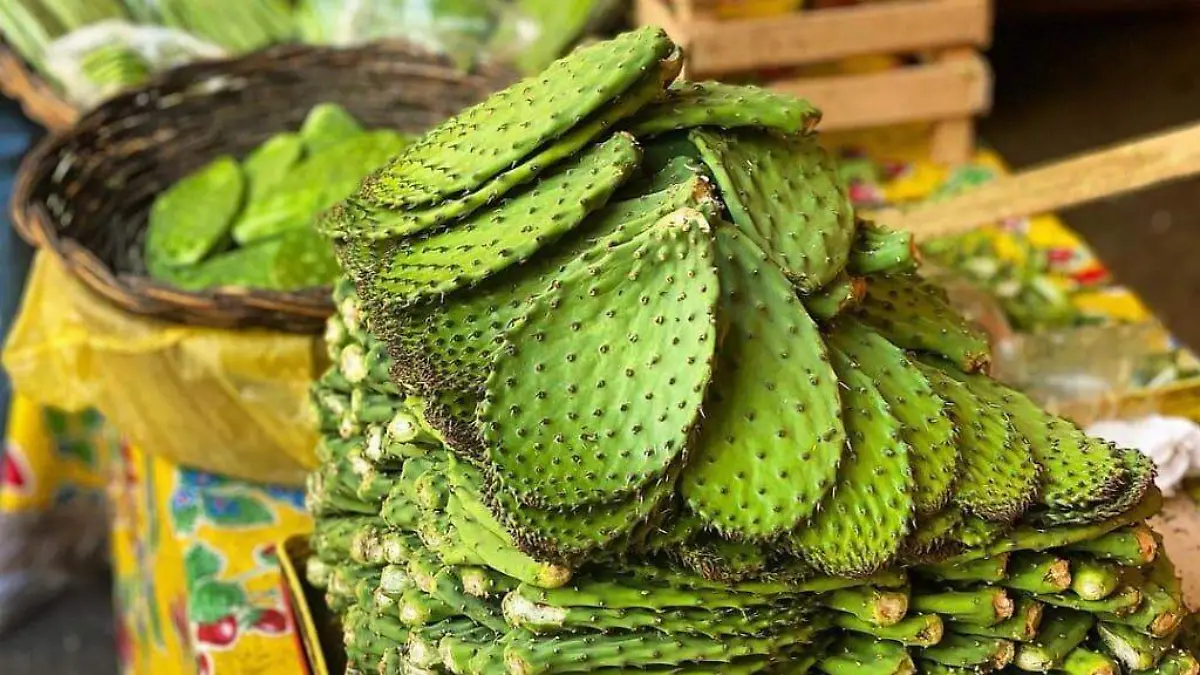 nopal