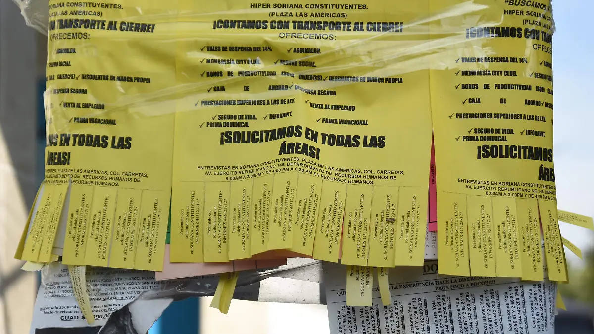 1A PENDONES 2_YL