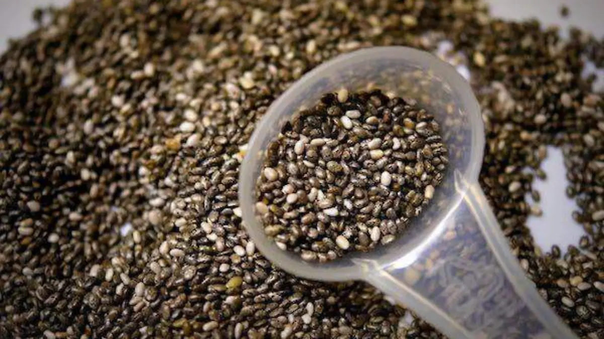 Image 2020-09-06 at 11.41.27 AM