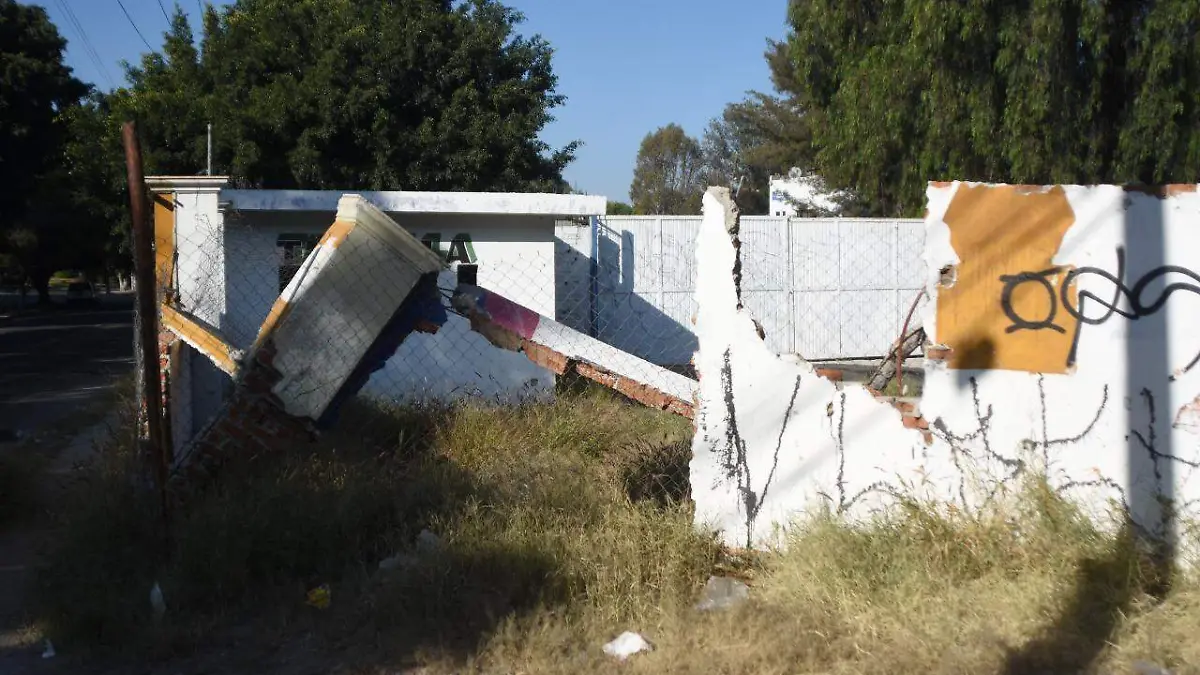 WhatsApp Image 2021-11-22 at 2.06.45 PM (1)