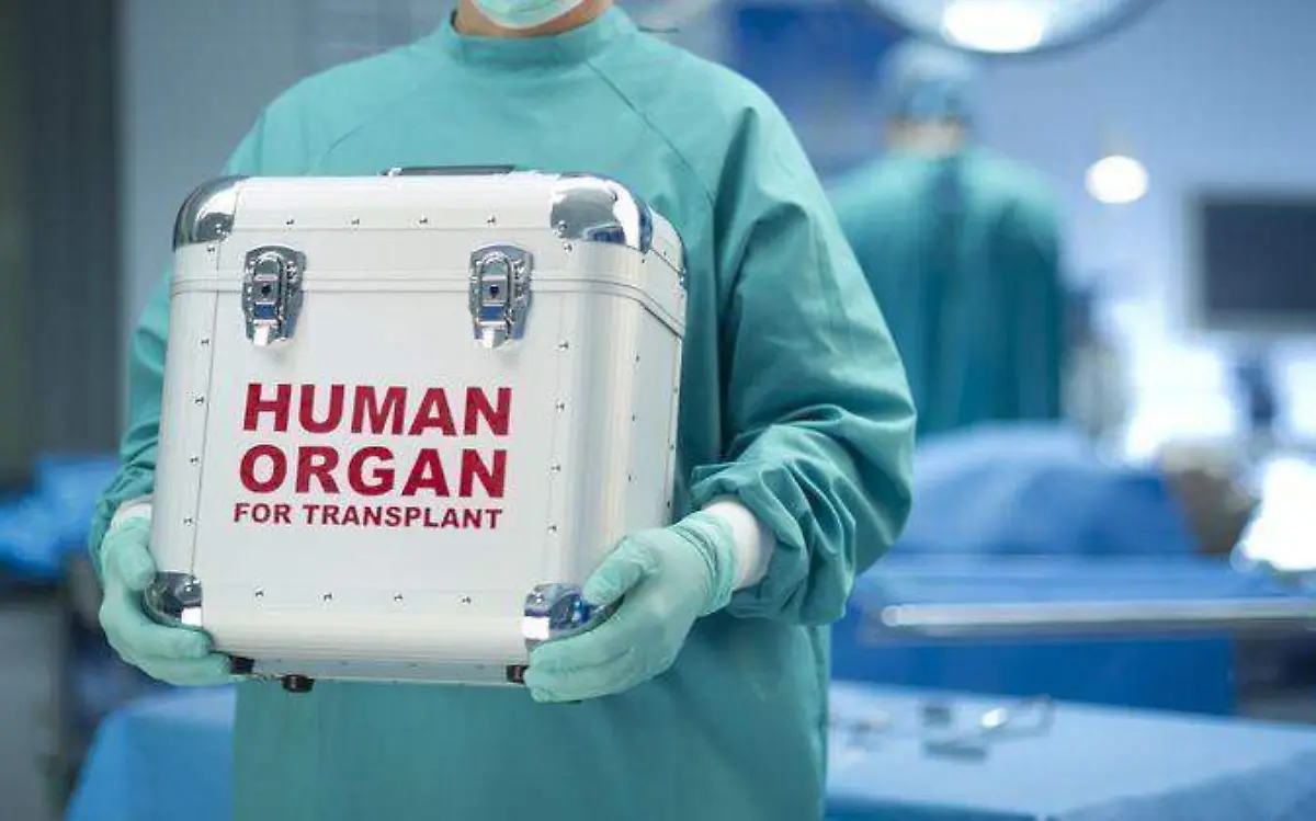 Donación de órganos 4