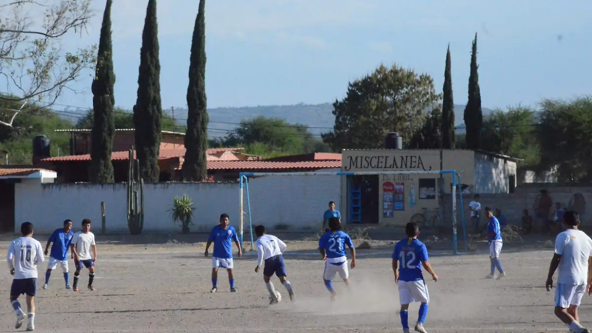 31 01 PRINCIPAL MUCHO SIRVIÓ