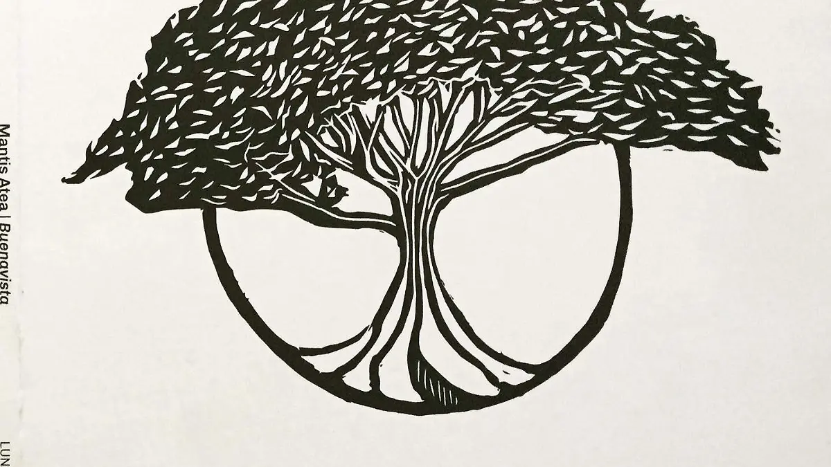 DISCO MANTIS ATEA (1)