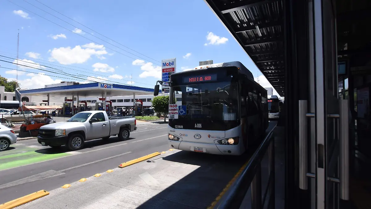1A QROBUS_YL