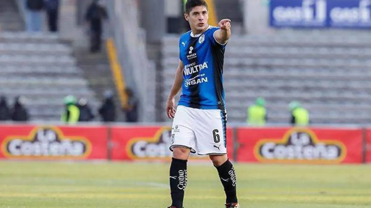 gallos