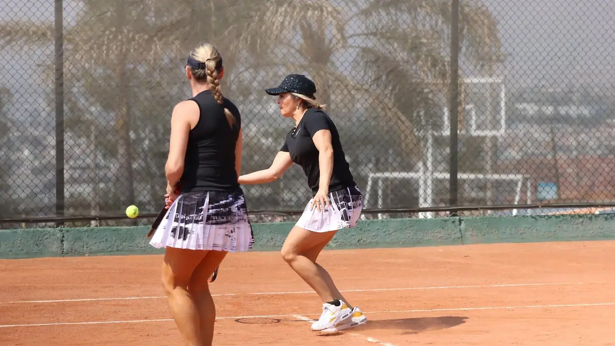 Tenis