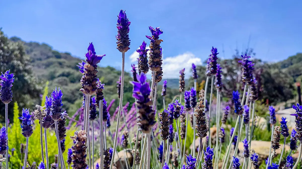 02_10_2022_ LA BEATA_MARIA MUNOZ_1_3