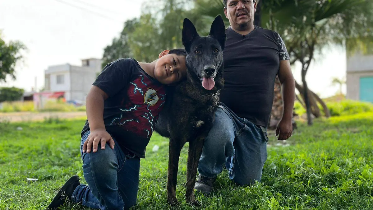 perro