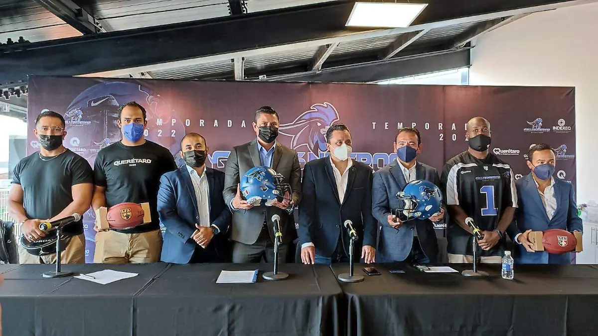 6db73019-2ec3-412d-a6e3-ce279a0e7fe2