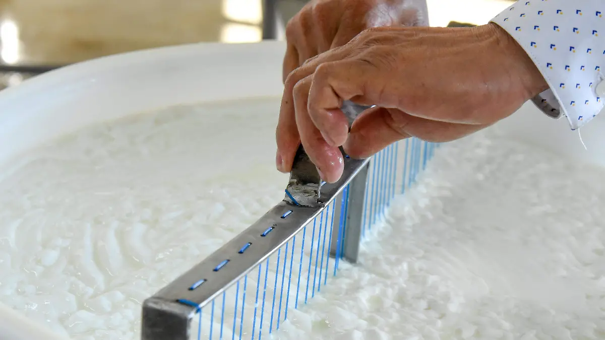 220303_QUESO PANELA_YLM  (3)