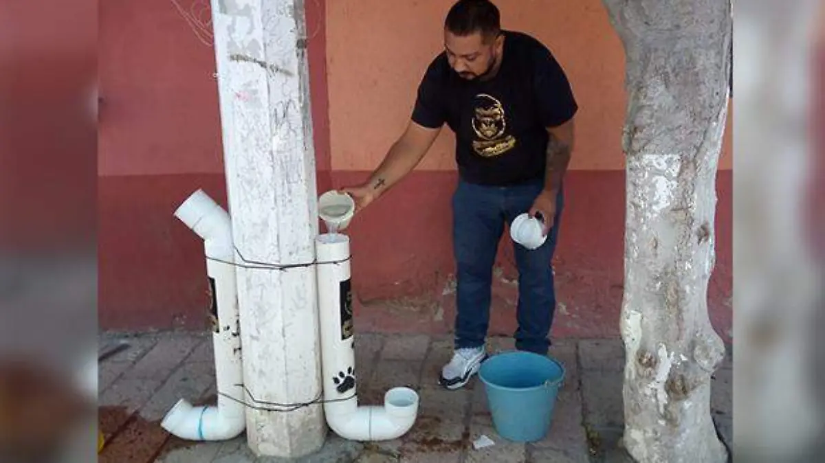 Comedores para animales callejeros