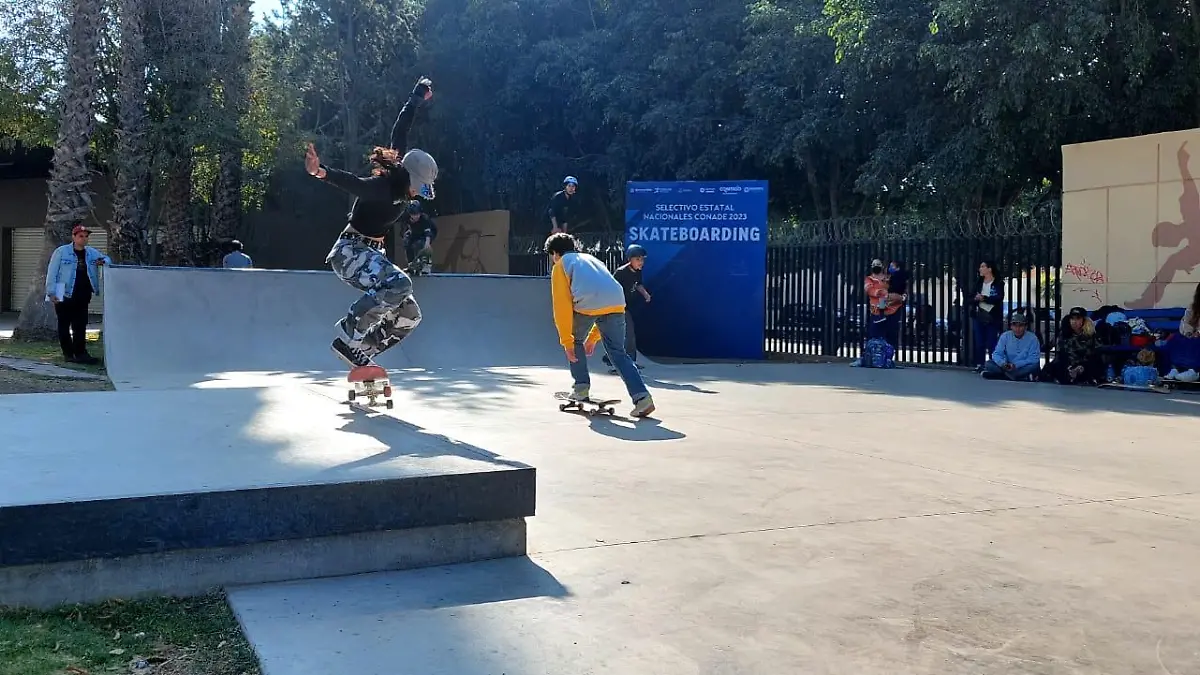 selectivos 2