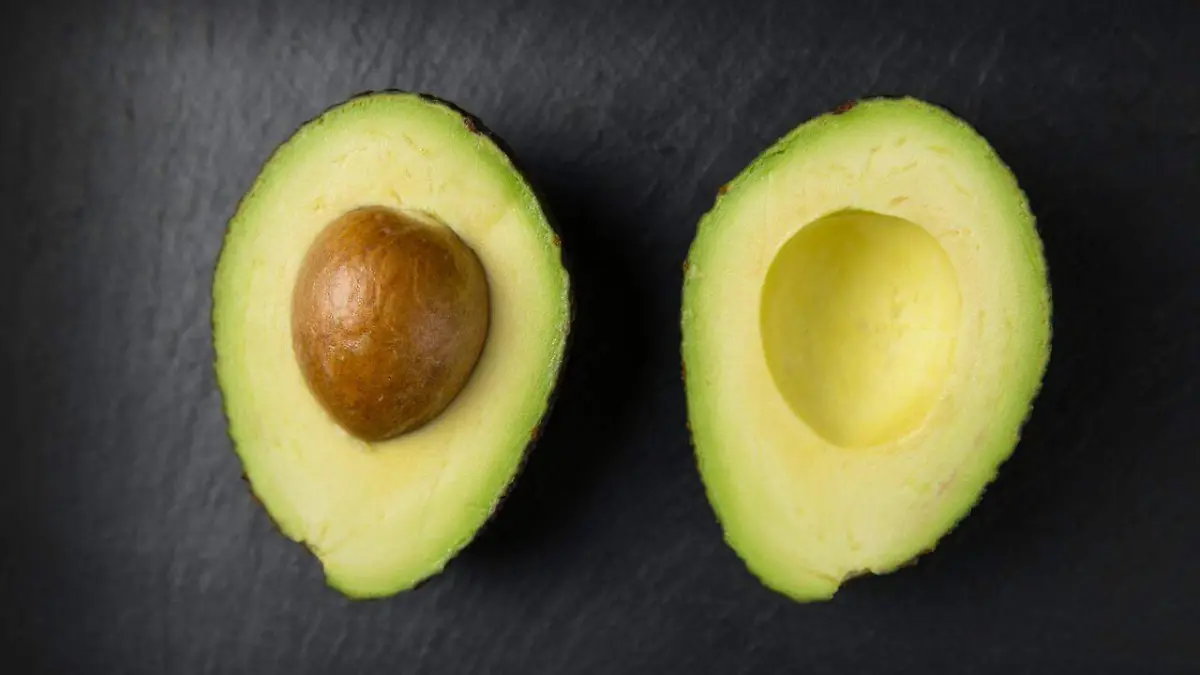 aguacate