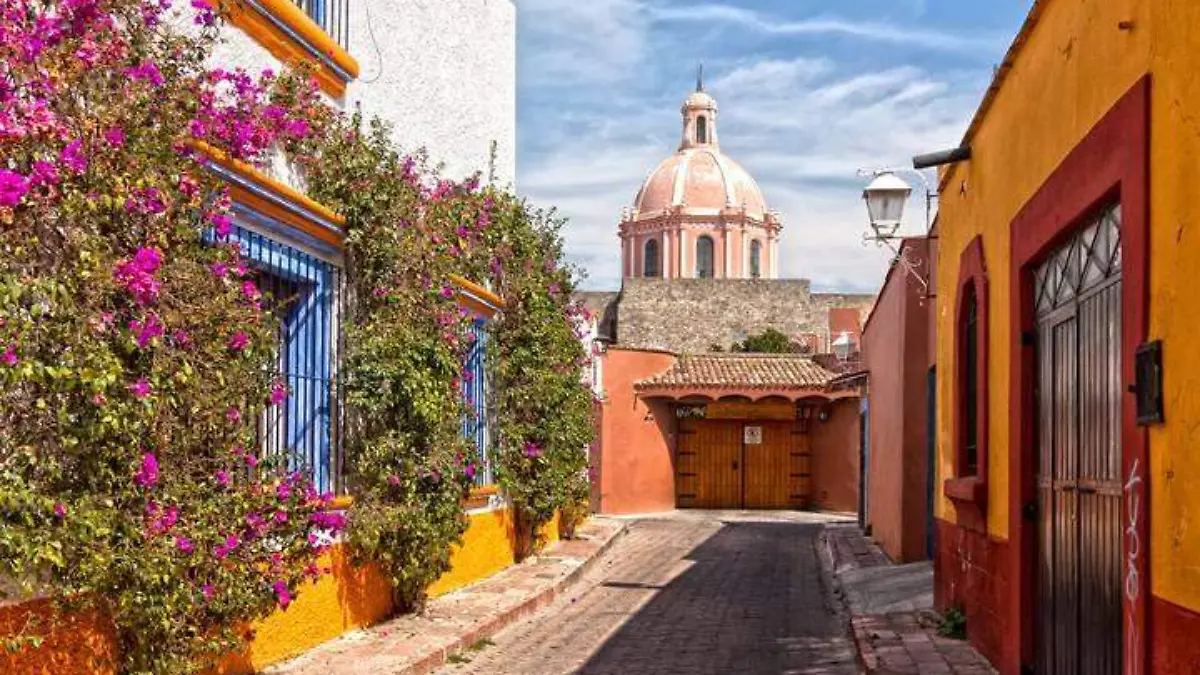 Tequis