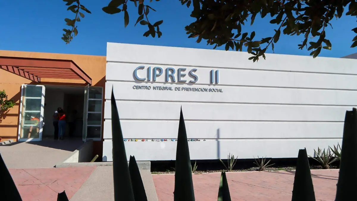 Ciprees II