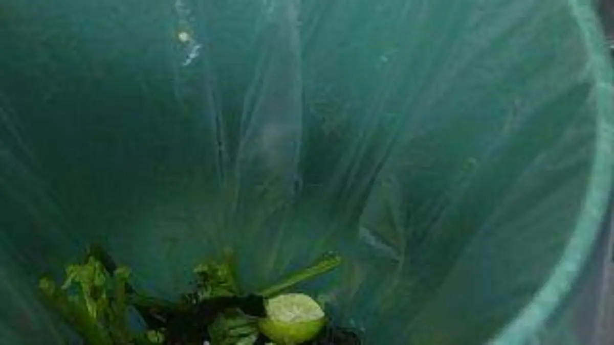 Separación de basura