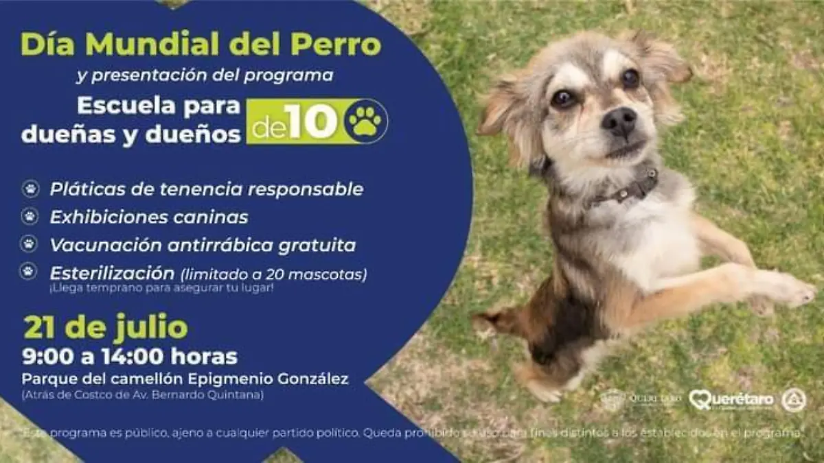 e033fe55-10cd-4623-836d-17340e592740