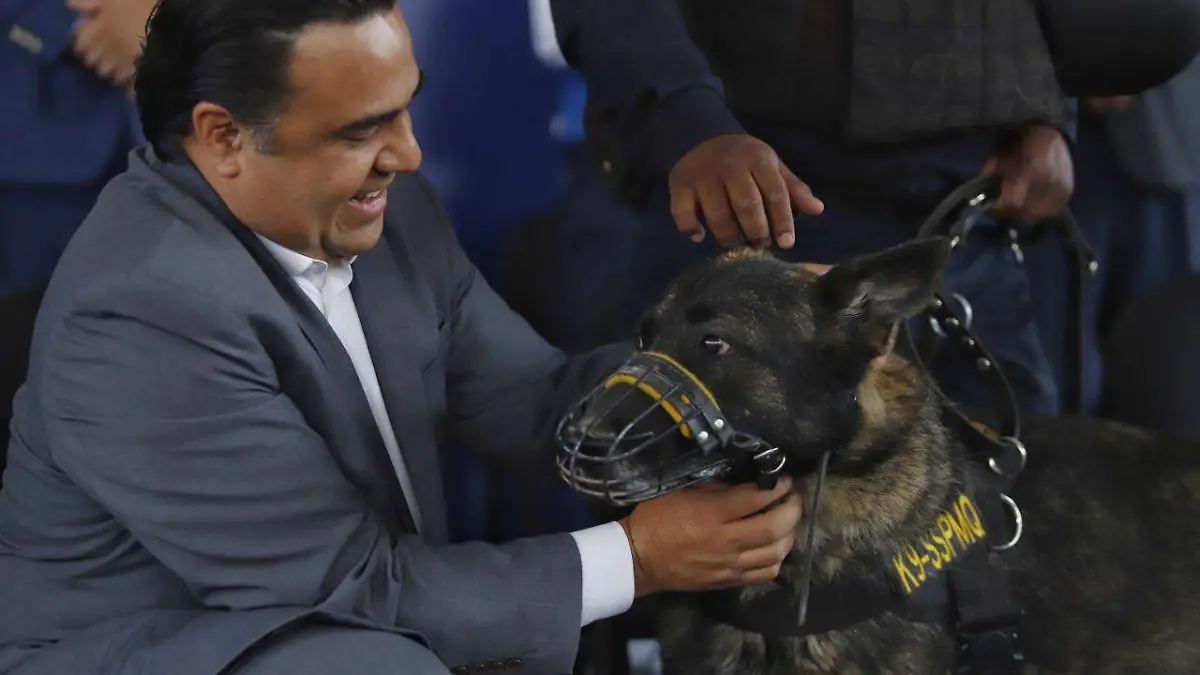 Nava Caninos