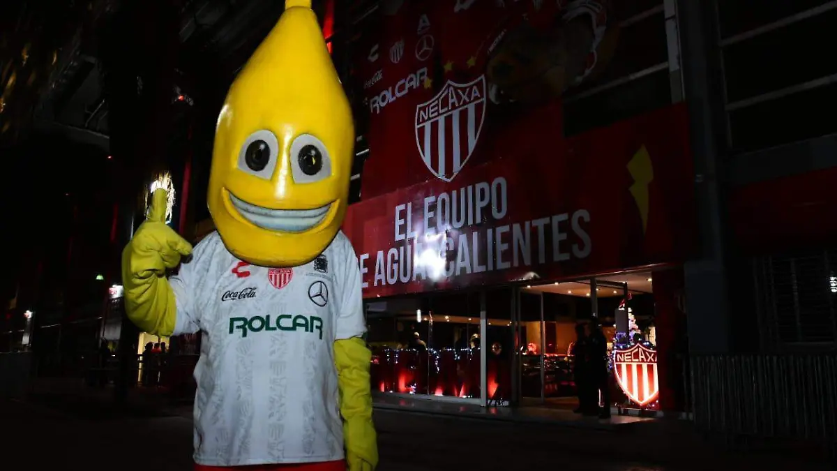 Image 2019-11-27 at 7.59.06 PM