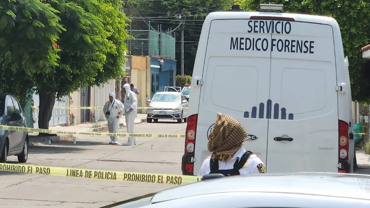 WhatsApp Image 2023-07-10 at 4.28.09 PM