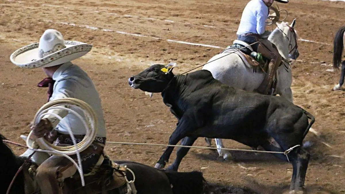 Charros