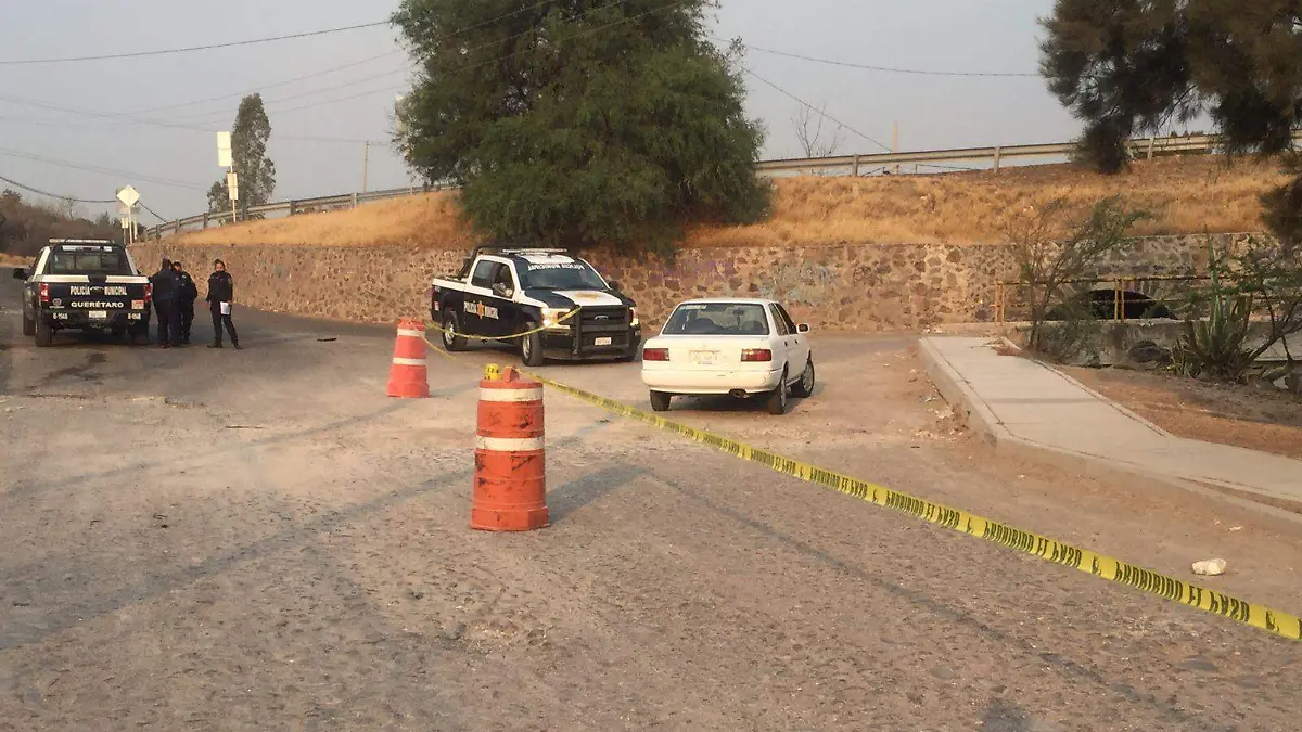 65e56f91-0bff-4a0e-bb33-25a8cc64eca0