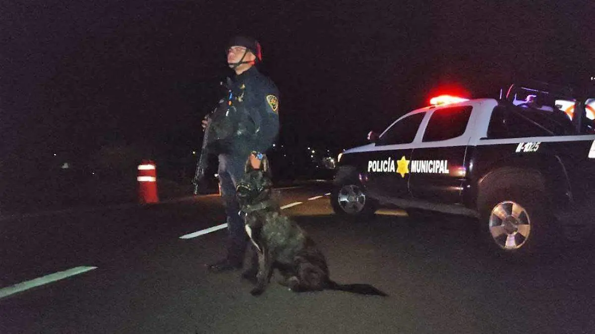 POLICIAS