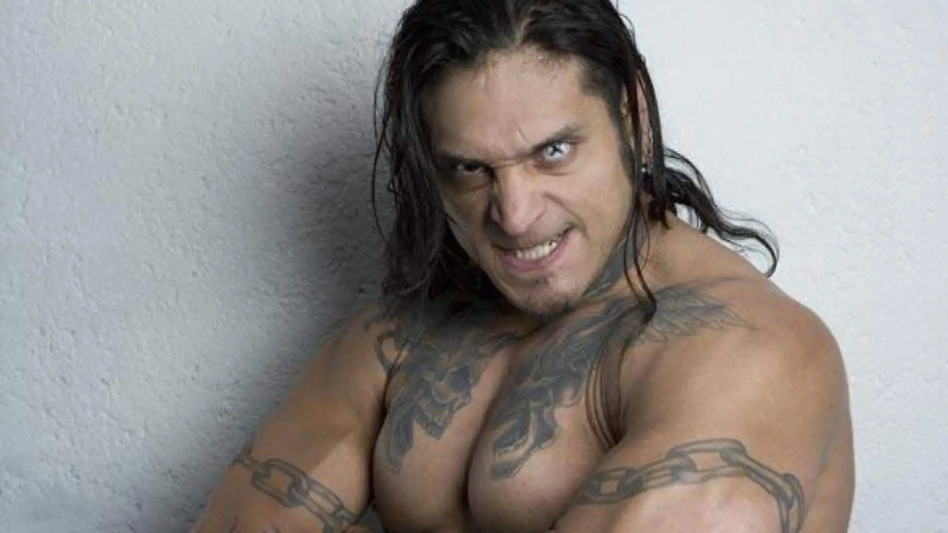 Cibernetico