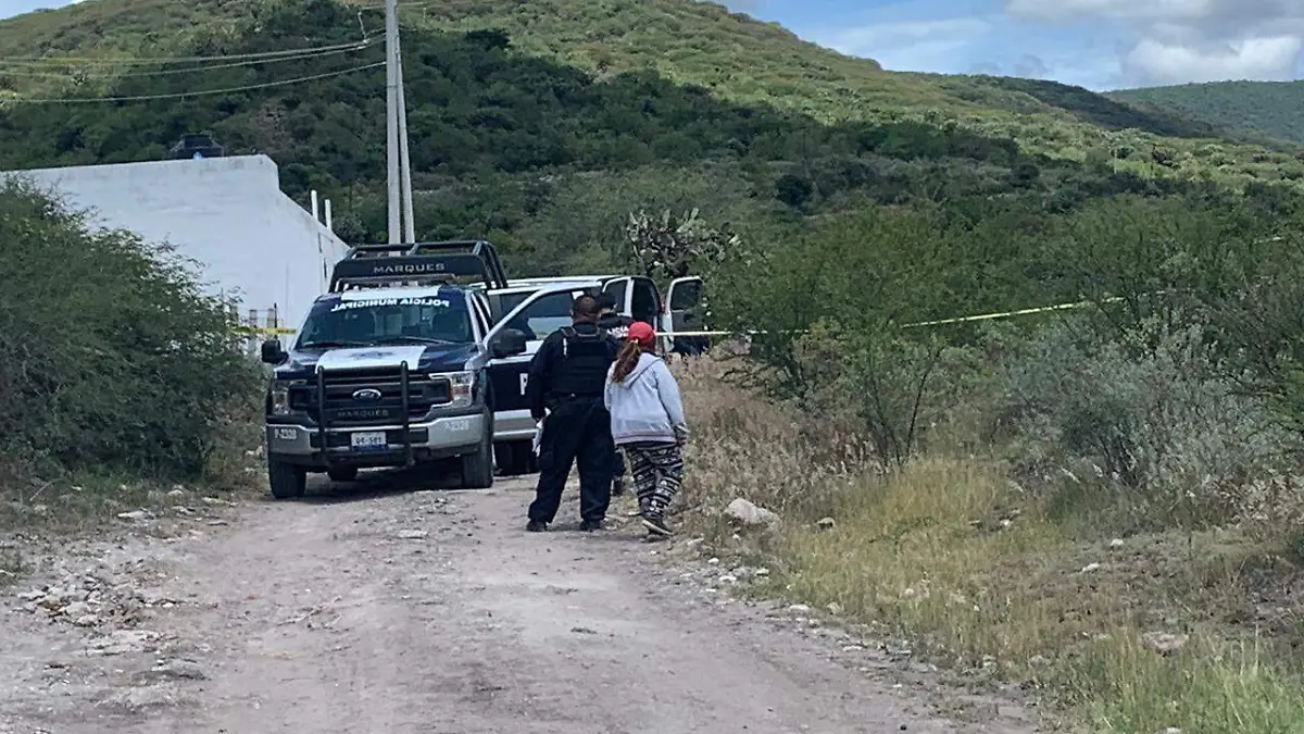 WhatsApp Image 2020-09-07 at 2.36.32 PM