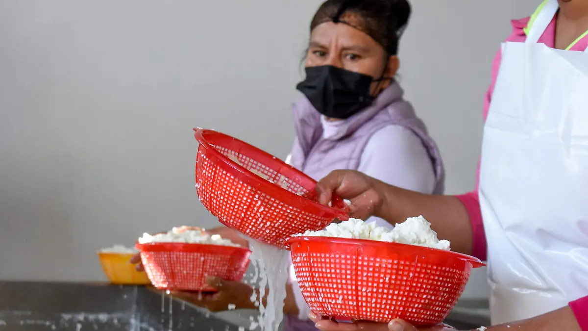 220303_QUESO PANELA_YLM  (17)