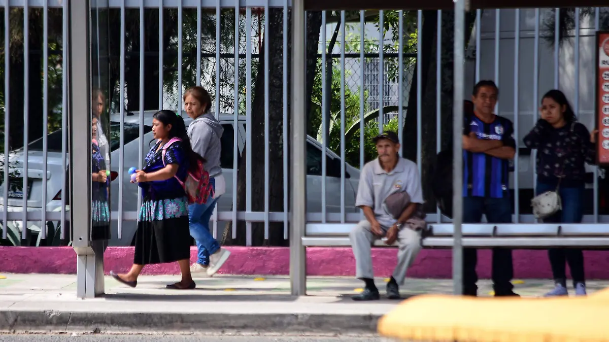 5. LA MIRADA_INDIìGENAS_MM