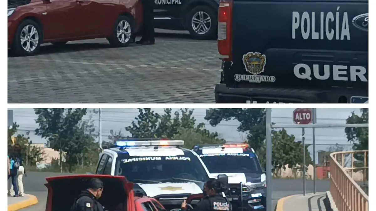 Afectados descubren banda robacoches