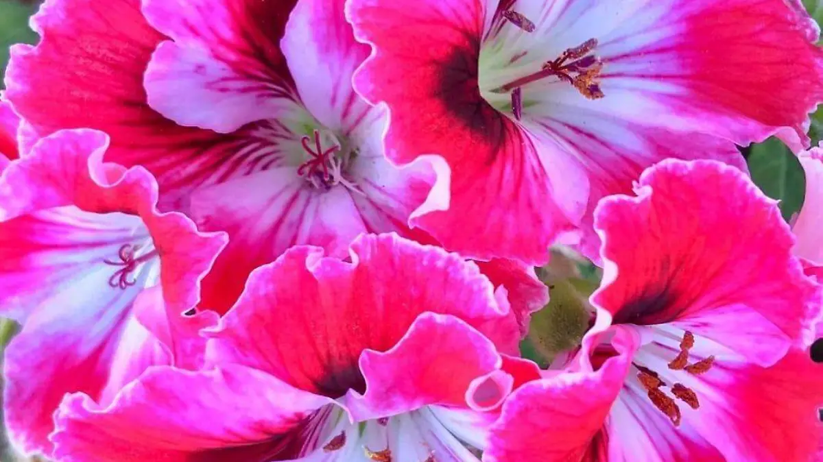 80cd6f61-4c98-42e1-a4fd-65f10fc47f4c