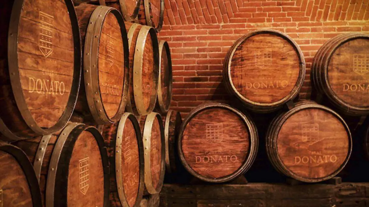donato (2)
