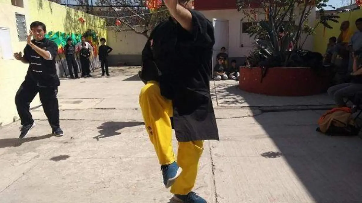 LAS EXHIBICIONES (1)