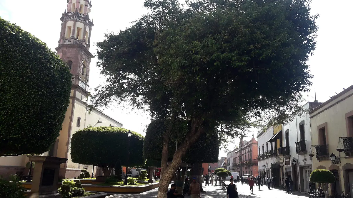 PRINCIPAL Jardín de S. Clara-2019