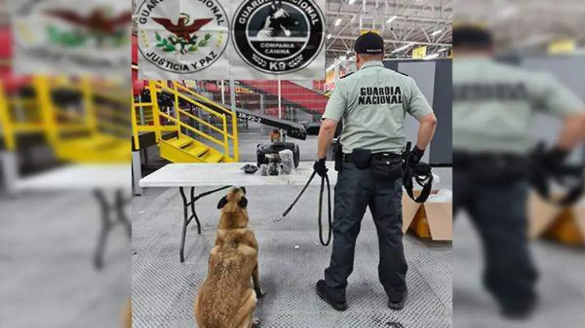 WhatsApp Image 2020-07-12 at 6.03.08 PM