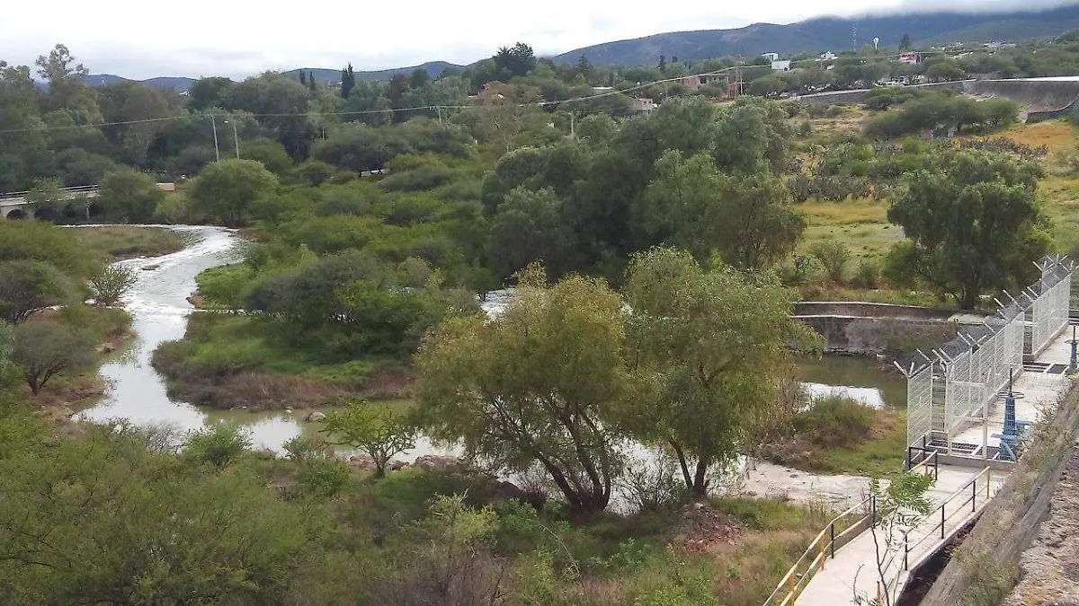 presa centenario