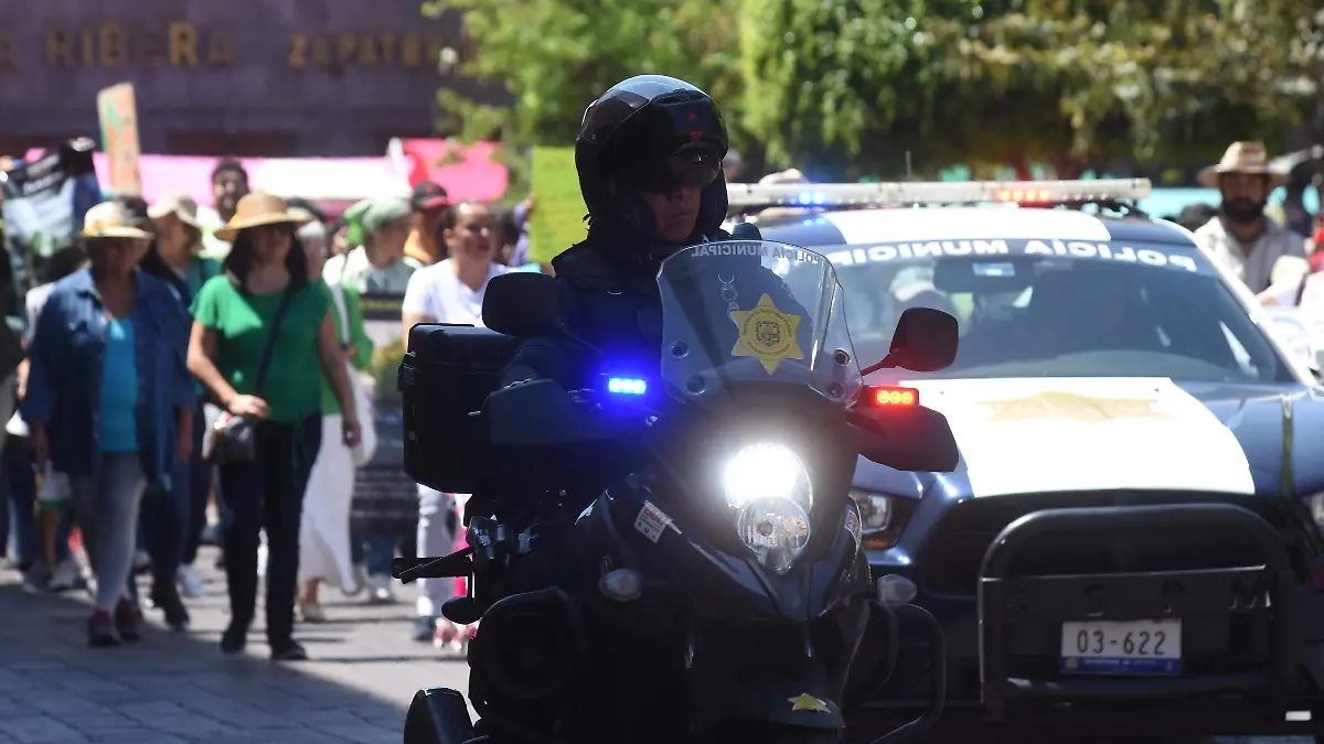 SEGURIDAD
