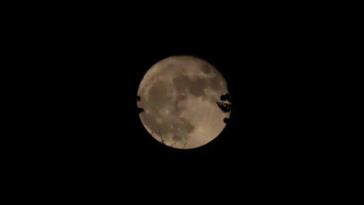 Luna
