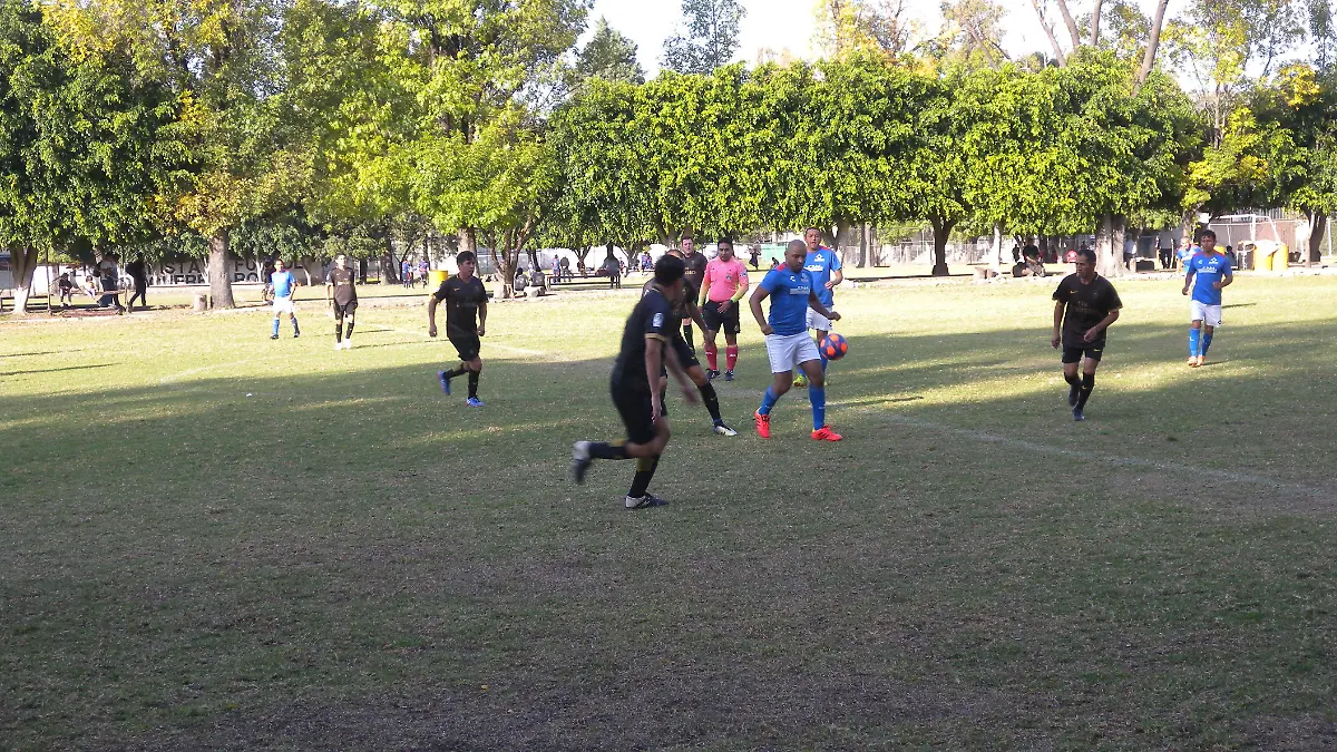 PAG.31-PRINCIPAL 01 OBLIGADOS