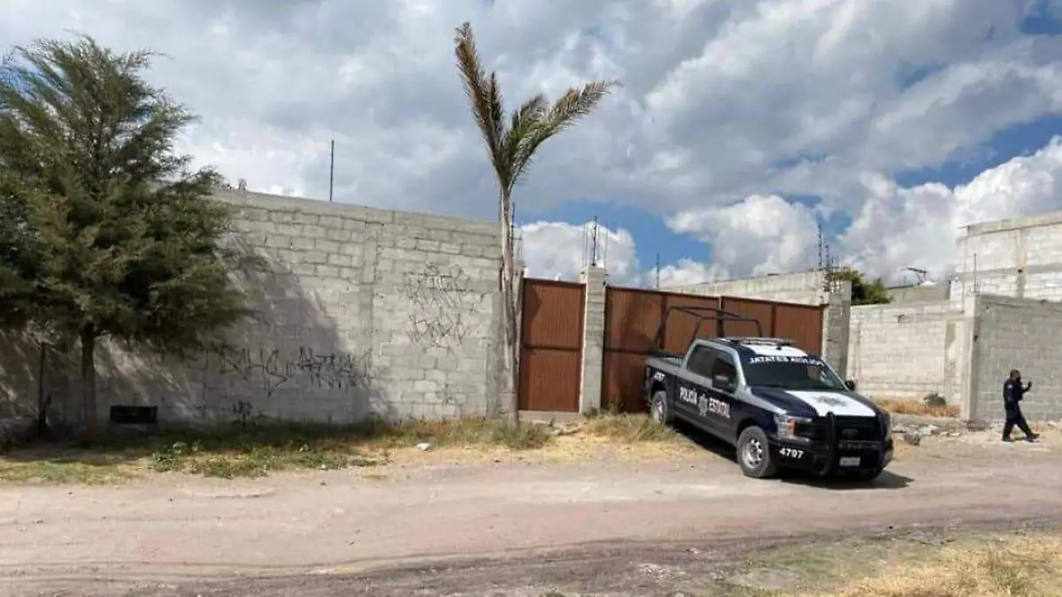 WhatsApp Image 2021-01-12 at 5.34.45 PM