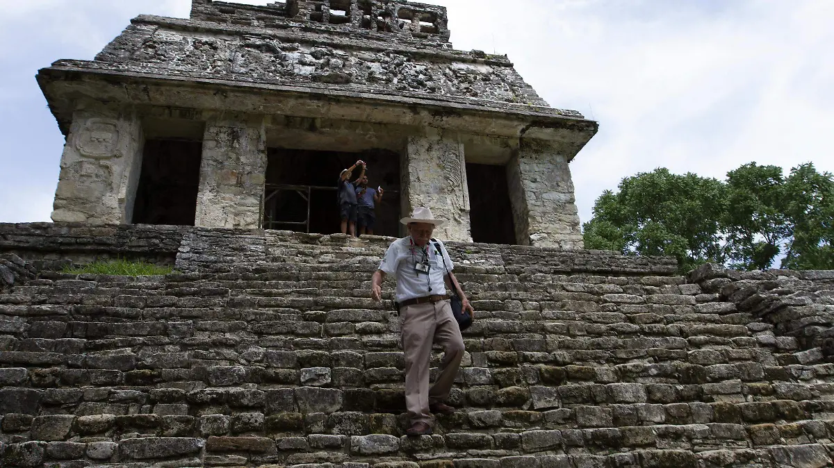 Tren palenque 80916090