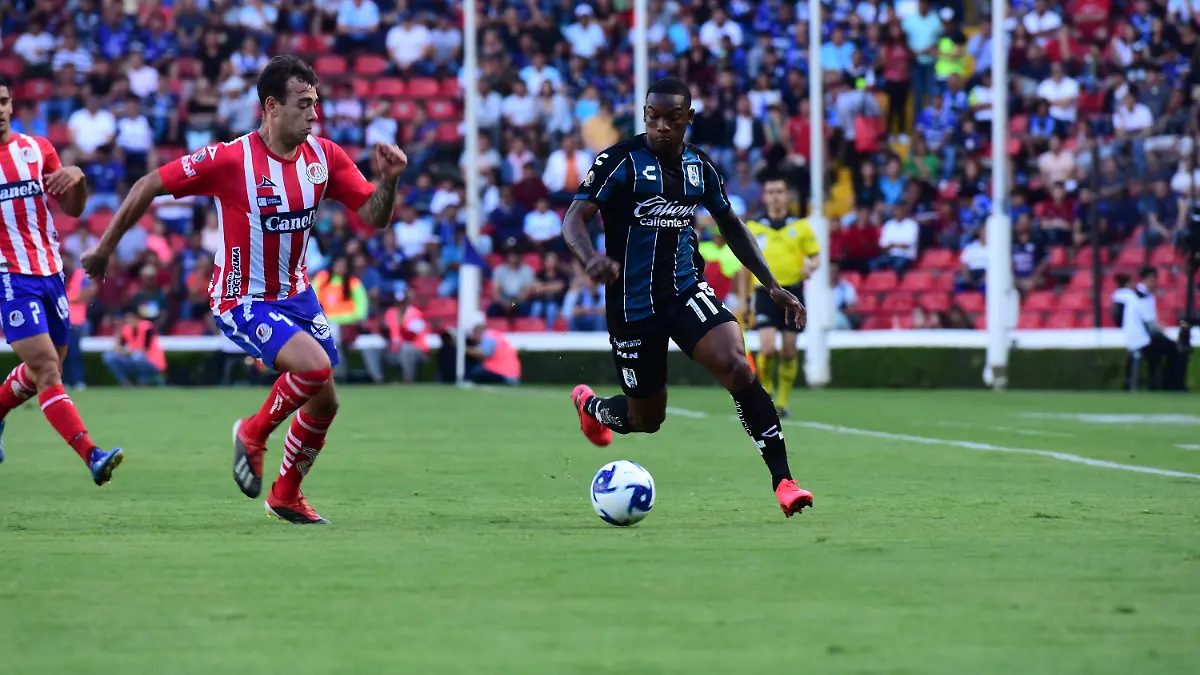 Gallos