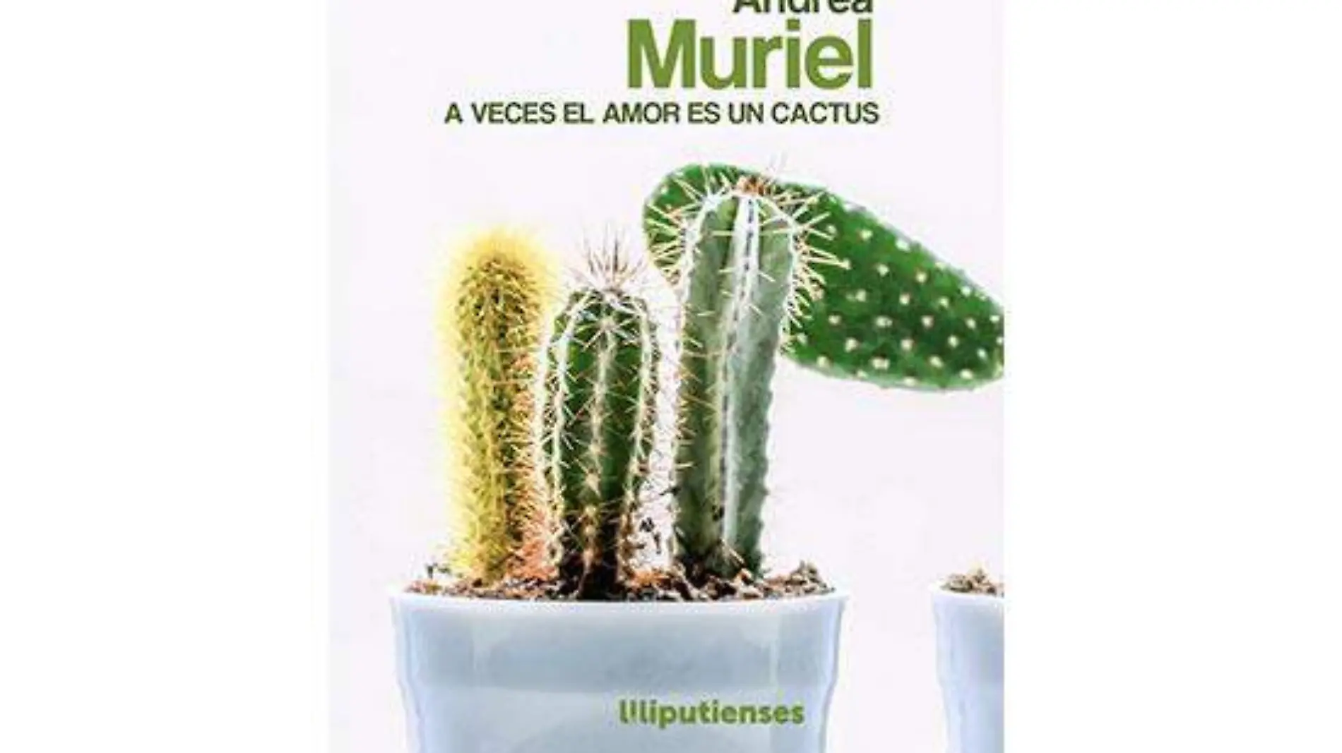 libro-cactus