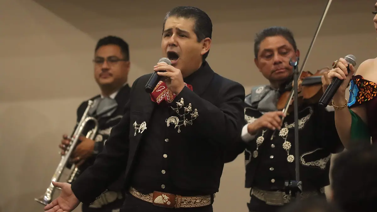 Serenata 8