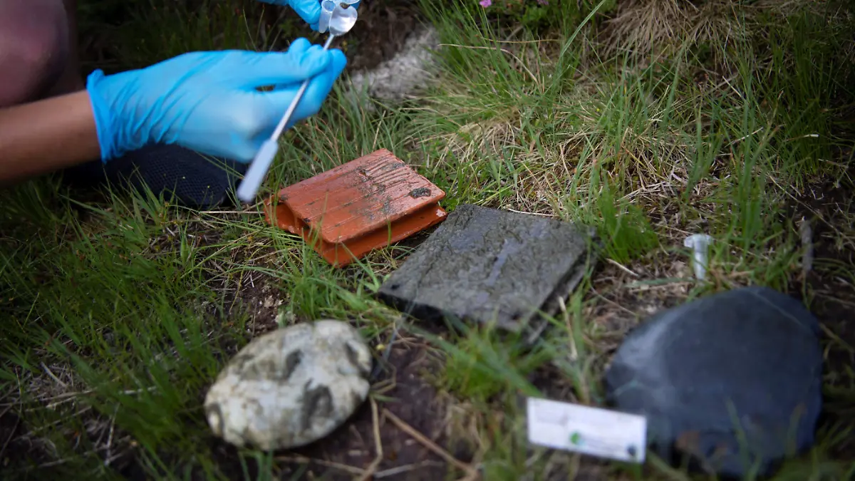 Montaña pirineos (2)