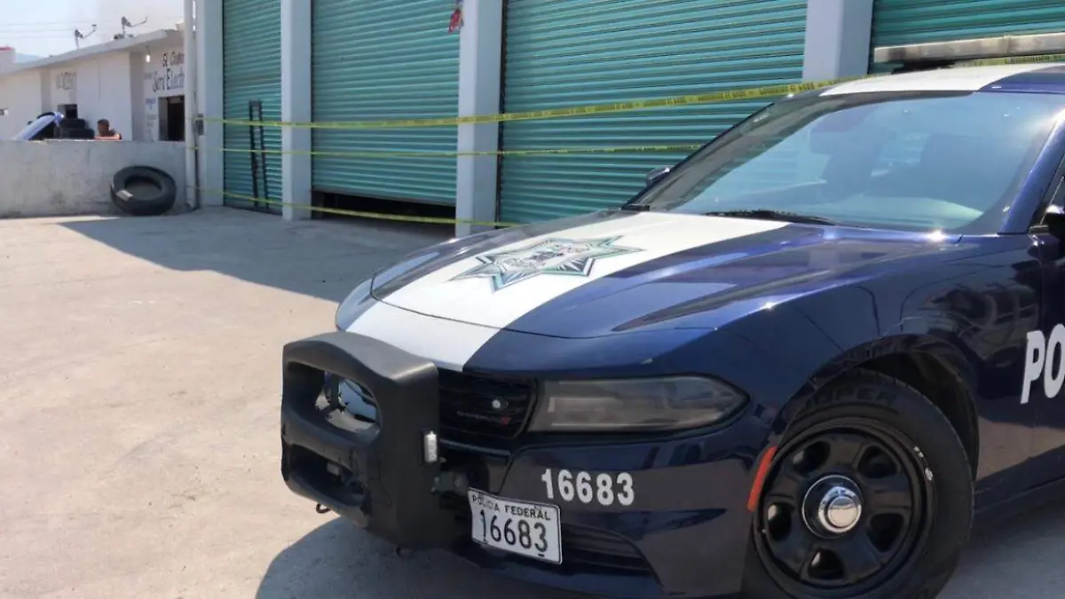 54d7787d-794c-40c6-8d62-76f6c1ab12bf