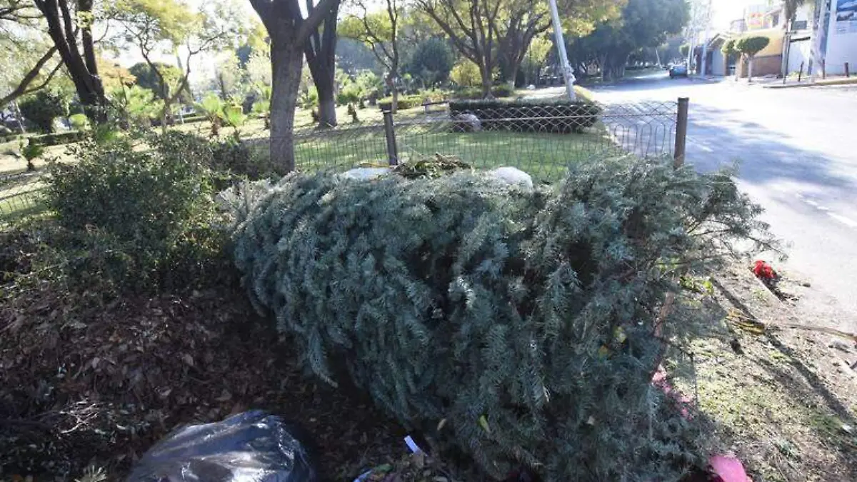 arboles de navidad