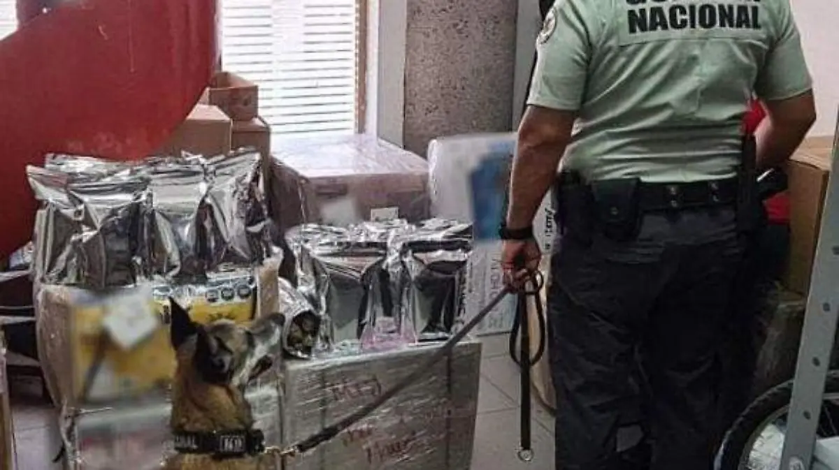 FOTO GUARDIA NACIONAL
